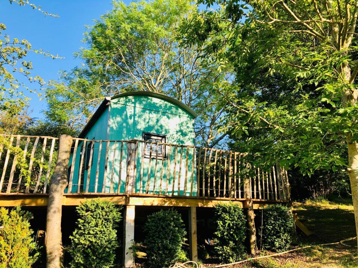 Lapin Cottage Long Bredy Екстер'єр фото
